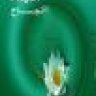نجاح فرح